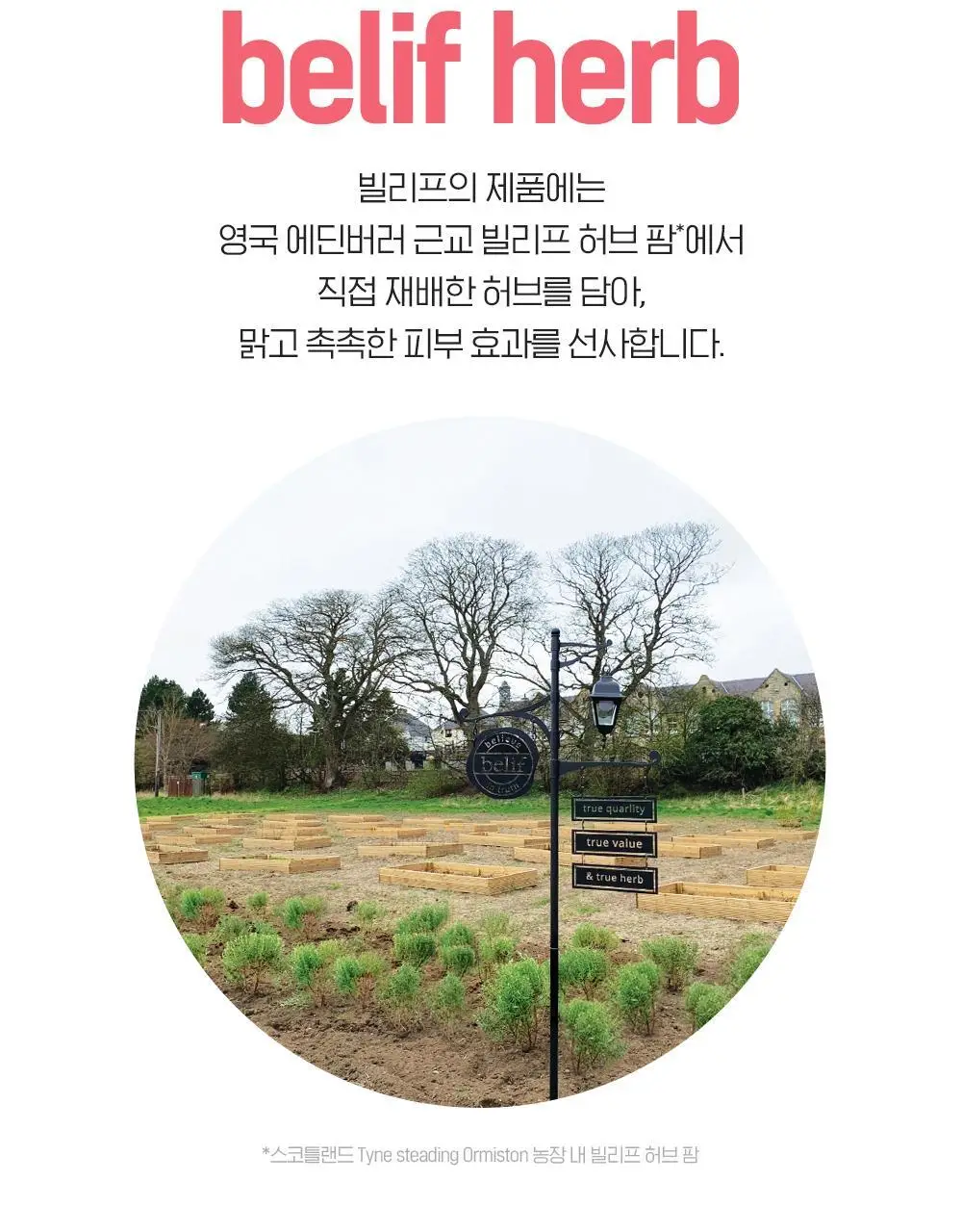 [모공X탄력X장벽] 빌리프 슈퍼드랍스 펩타이드 퍼밍 세럼 30ml 기획/단품 상세페이지 27